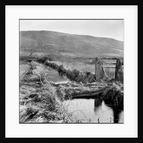 Ballaugh Curraghs, Isle of Man by George Bellett Cowen